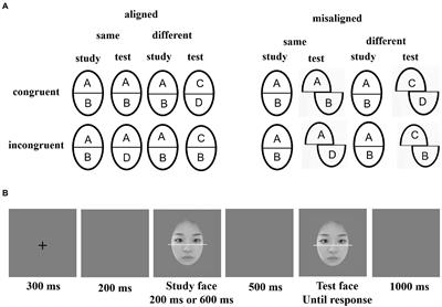 The Composite Face Effect Between Young and Older Chinese Adults Remains Stable